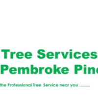 Child Care Tree Services Pembroke Pines in Pembroke Pines FL