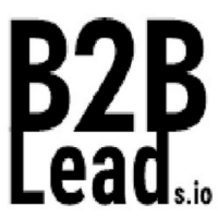 B2B Leads